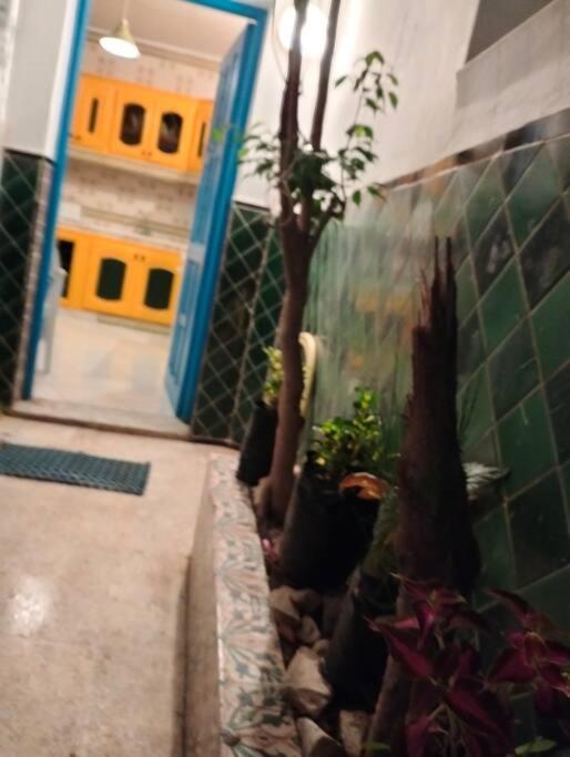Coup De Coeur A Sidi Bou Said Vila Exterior foto